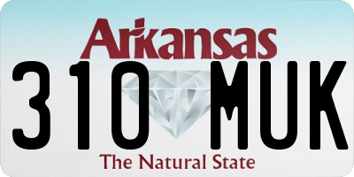 AR license plate 310MUK