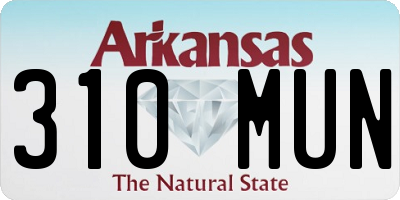 AR license plate 310MUN