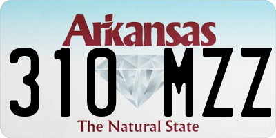 AR license plate 310MZZ