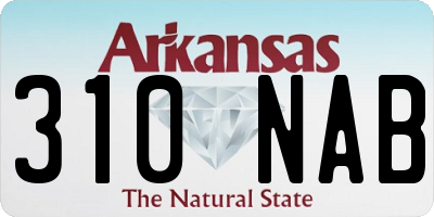 AR license plate 310NAB