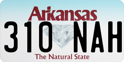 AR license plate 310NAH