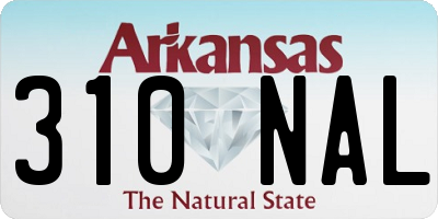 AR license plate 310NAL