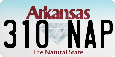 AR license plate 310NAP