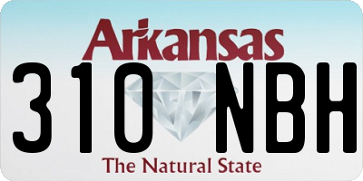 AR license plate 310NBH