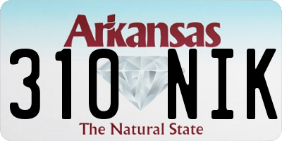 AR license plate 310NIK