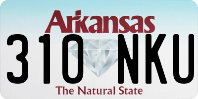 AR license plate 310NKU