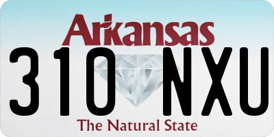 AR license plate 310NXU