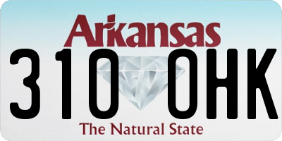 AR license plate 310OHK