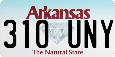 AR license plate 310UNY