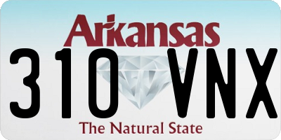 AR license plate 310VNX