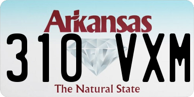 AR license plate 310VXM