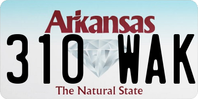 AR license plate 310WAK
