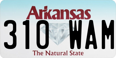 AR license plate 310WAM