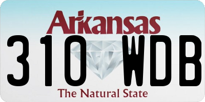 AR license plate 310WDB