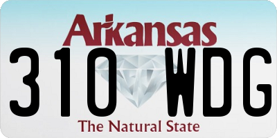 AR license plate 310WDG