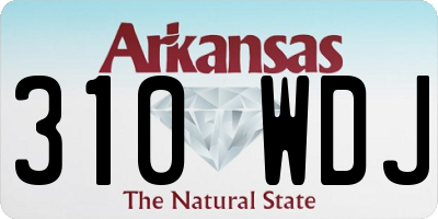AR license plate 310WDJ
