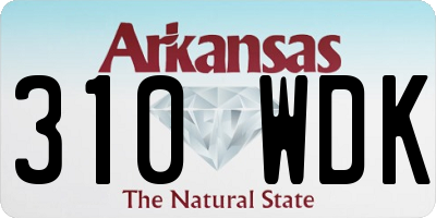 AR license plate 310WDK