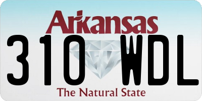 AR license plate 310WDL