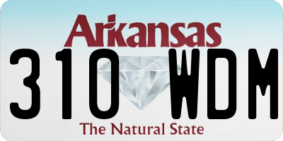 AR license plate 310WDM