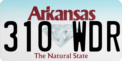 AR license plate 310WDR