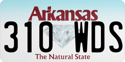 AR license plate 310WDS