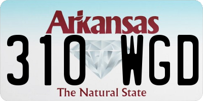 AR license plate 310WGD