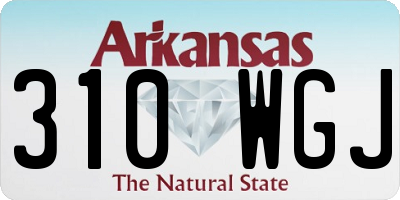 AR license plate 310WGJ