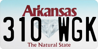 AR license plate 310WGK