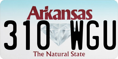 AR license plate 310WGU