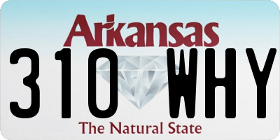 AR license plate 310WHY