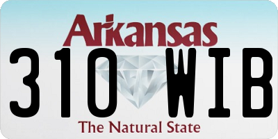 AR license plate 310WIB