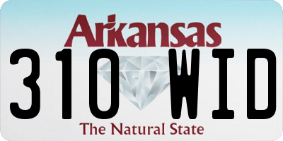 AR license plate 310WID