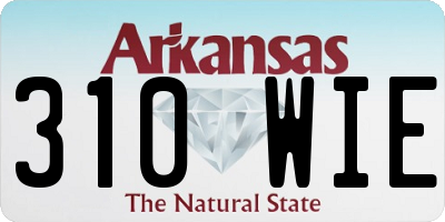 AR license plate 310WIE