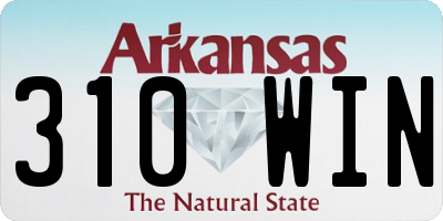 AR license plate 310WIN