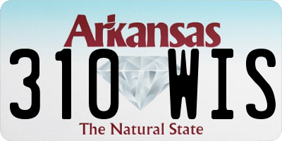 AR license plate 310WIS