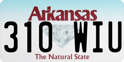 AR license plate 310WIU