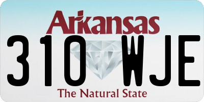 AR license plate 310WJE