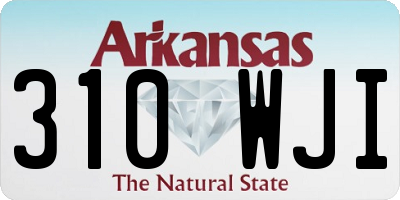AR license plate 310WJI
