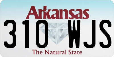 AR license plate 310WJS