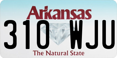 AR license plate 310WJU