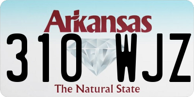 AR license plate 310WJZ