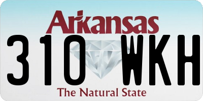 AR license plate 310WKH
