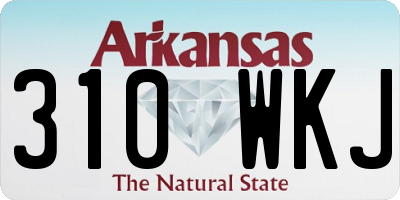 AR license plate 310WKJ