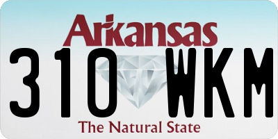 AR license plate 310WKM