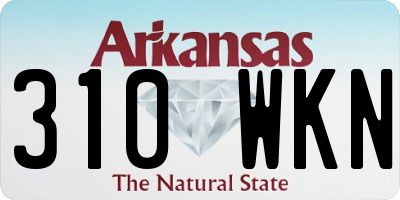 AR license plate 310WKN