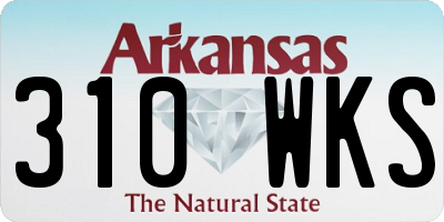 AR license plate 310WKS