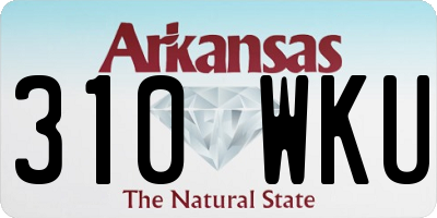 AR license plate 310WKU