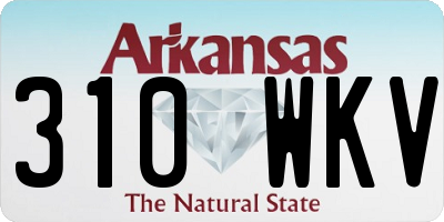 AR license plate 310WKV