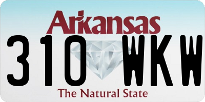AR license plate 310WKW