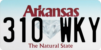 AR license plate 310WKY